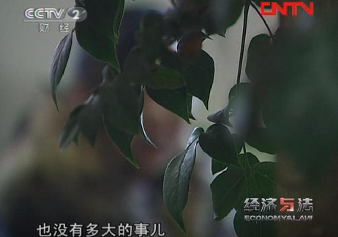 敛财几百万凭一己之力让家族落网贵阳黑老大晏德海覆灭记：疯狂(图2)